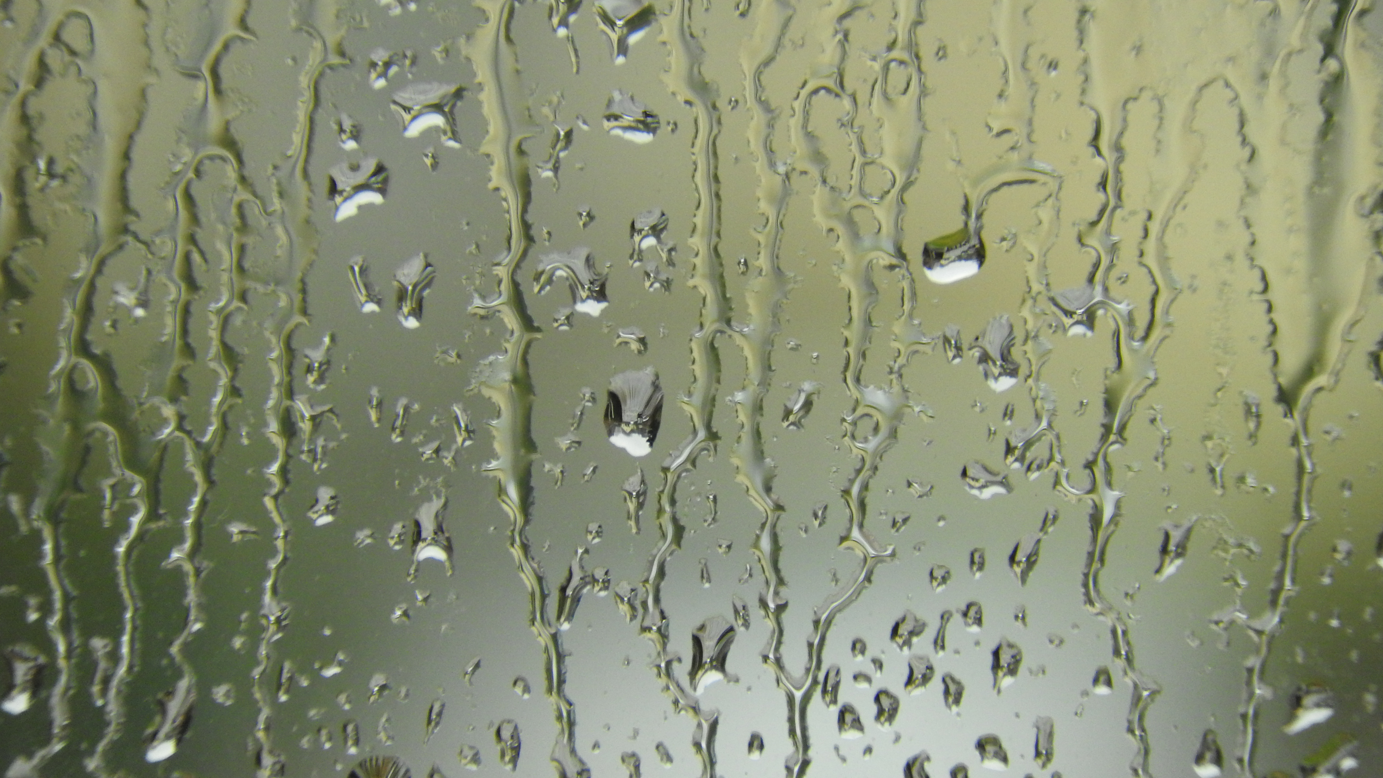 Auch das Wasser, das als Regen vom Himmel fällt, ist wissenschaftlich sehr spannend: Regentropfen an Fensterscheiben können zu kleinen Linsen werden.